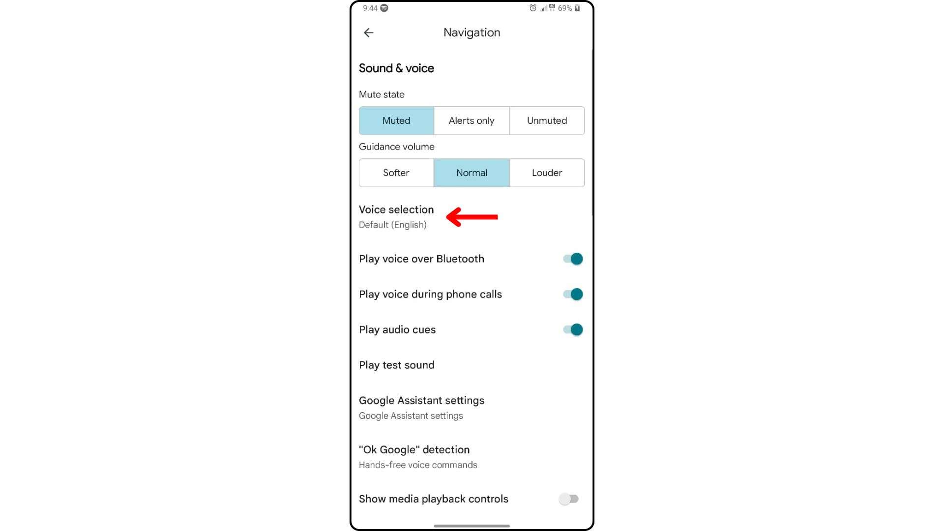Voice Selection