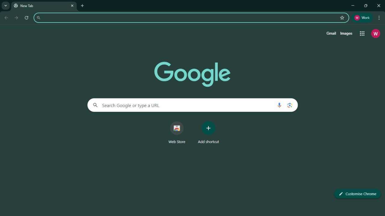 Open the Browser