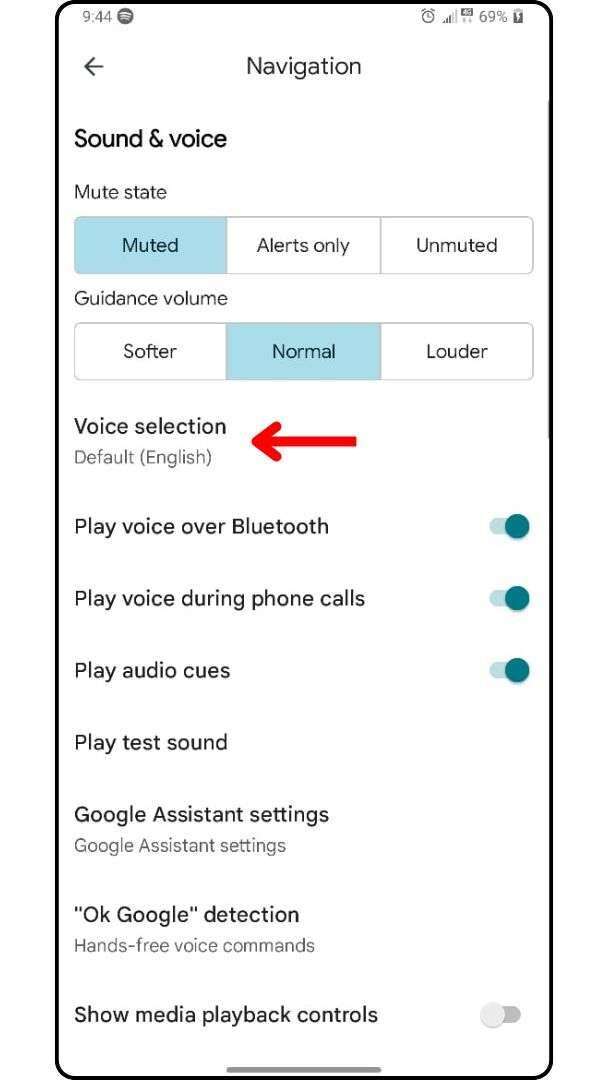Voice Selection