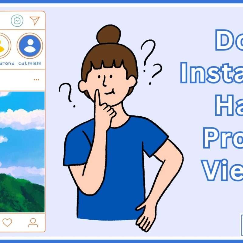 Does Instagram Have Profile Views