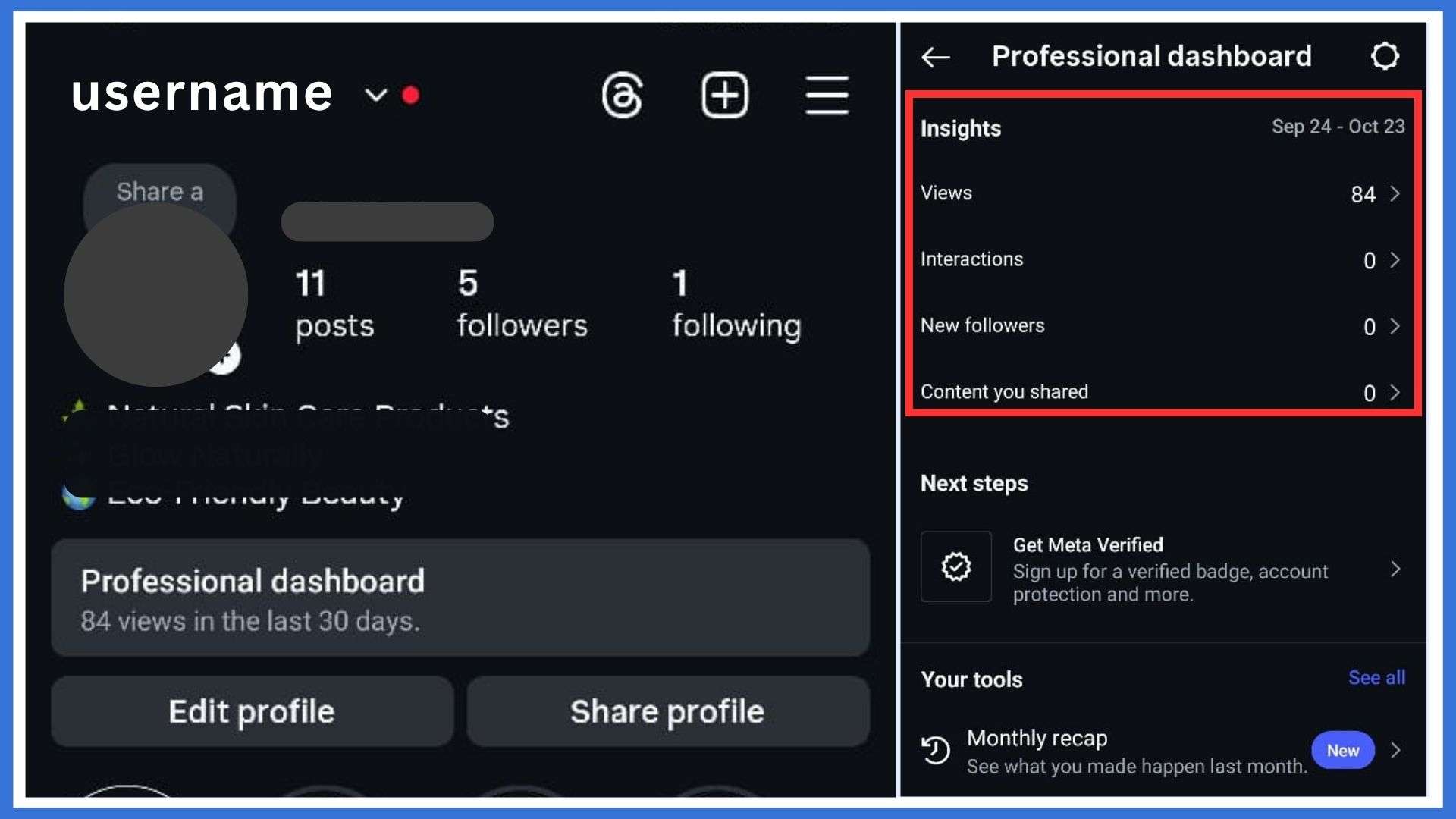 Instagram Business Accounts and Profile Insights